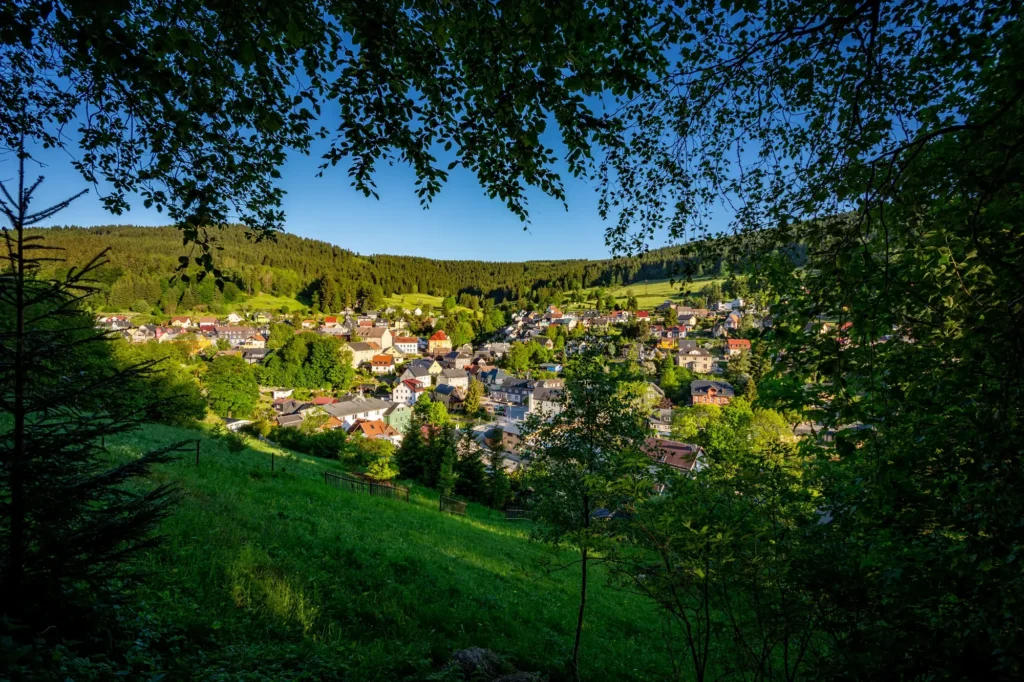 Ortsansicht von Manebach im Sommer