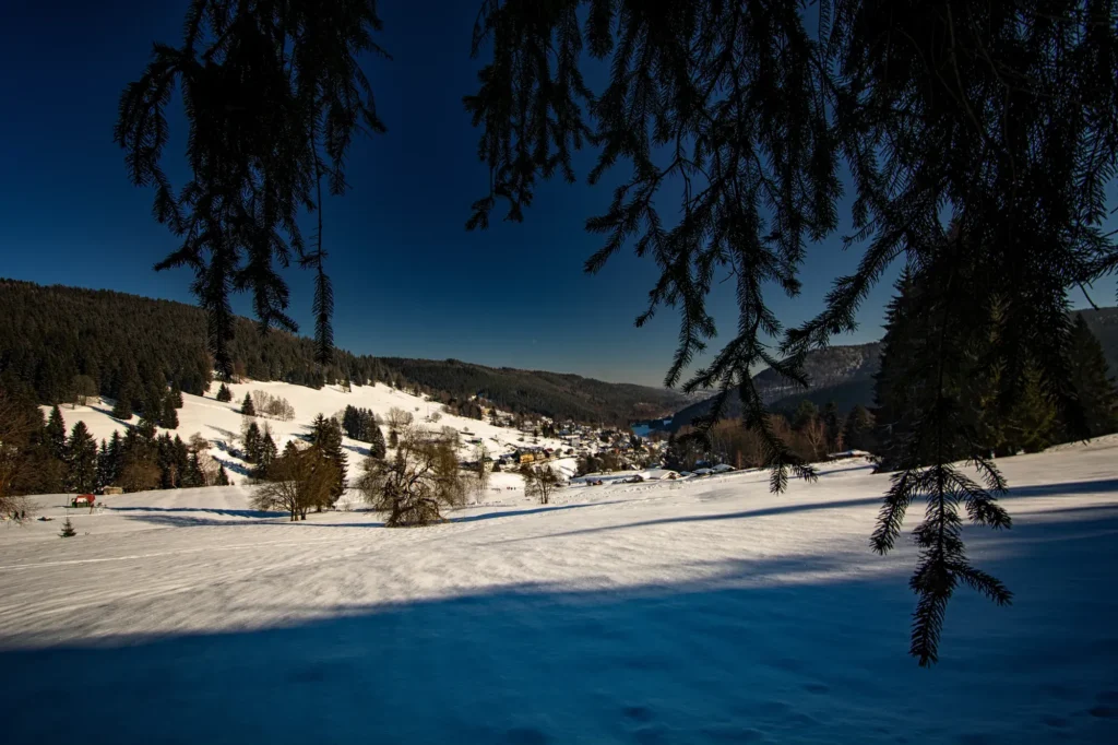 Verschneites Manebach im Winter, Thüringer Wald