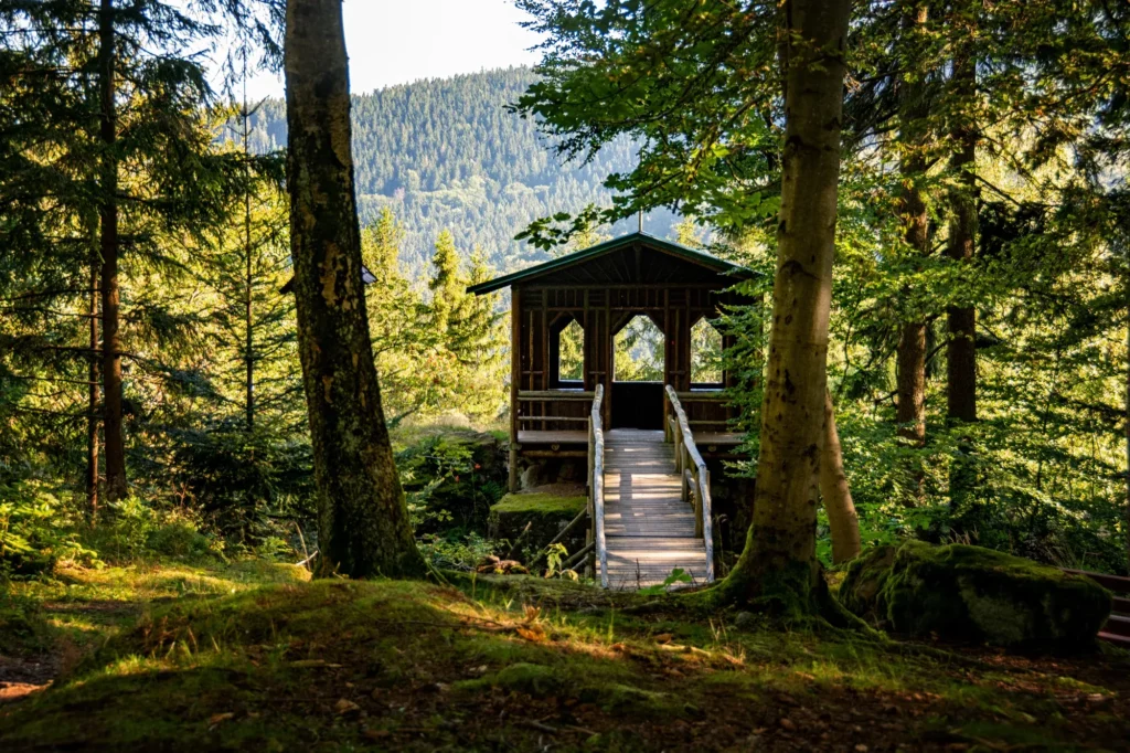Holzpavillon am Wanderweg im Wald bei Manebach