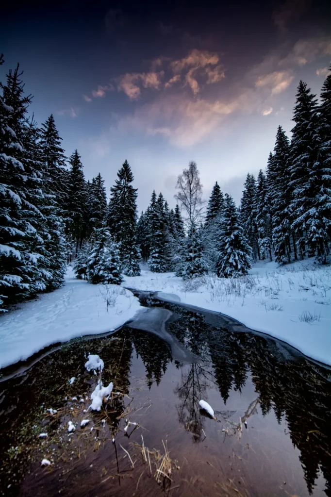 Bachlauf im Schnee bei Manebach
