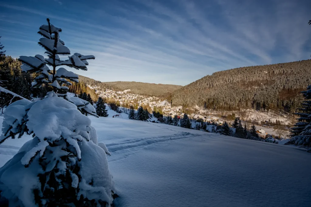 Winterlandschaft mit verschneiten Bäumen über dem Ilmtal